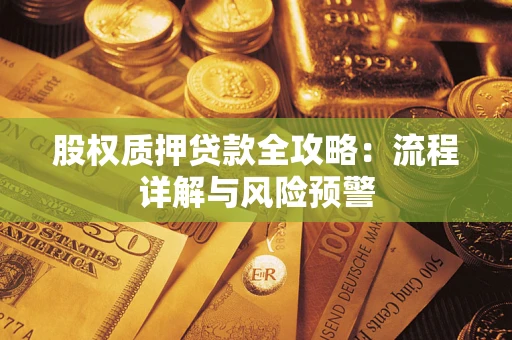 武汉股权质押贷款全攻略：流程详解与风险预警