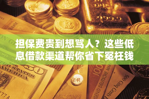 武汉担保费贵到想骂人？这些低息借款渠道帮你省下冤枉钱