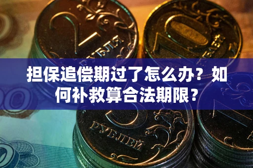 武汉担保追偿期过了怎么办？如何补救算合法期限？