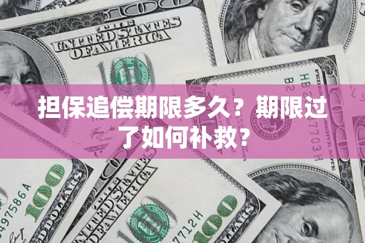 武汉担保追偿期限多久？期限过了如何补救？