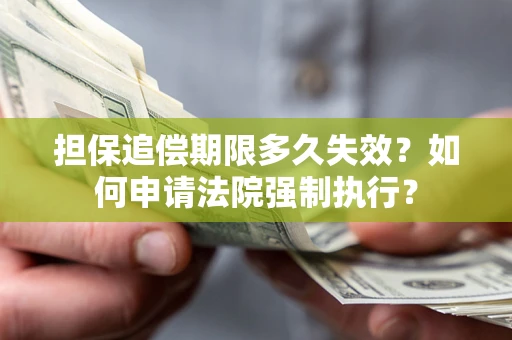 武汉担保追偿期限多久失效？如何申请法院强制执行？