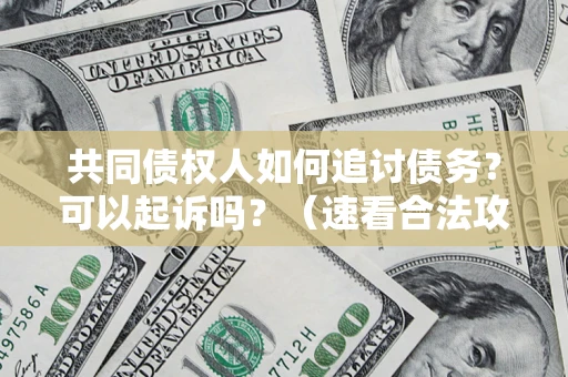 武汉共同债权人如何追讨债务？可以起诉吗？（速看合法攻略）