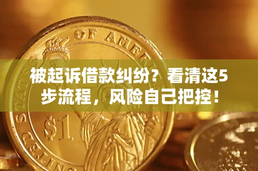 武汉被起诉借款纠纷？看清这5步流程，风险自己把控！