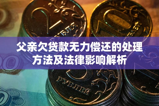 武汉父亲欠贷款无力偿还的处理方法及法律影响解析