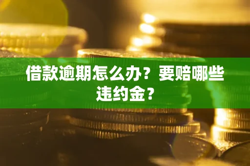 武汉借款逾期怎么办？要赔哪些违约金？