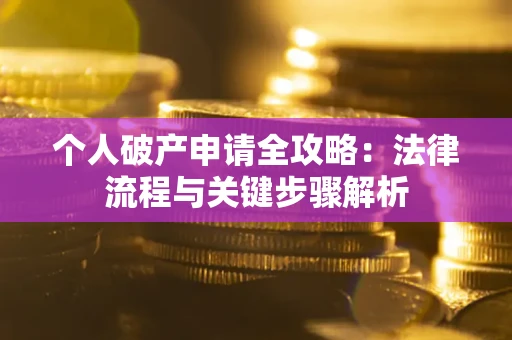 武汉个人破产申请全攻略：法律流程与关键步骤解析