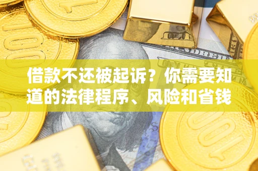武汉借款不还被起诉？你需要知道的法律程序、风险和省钱技巧