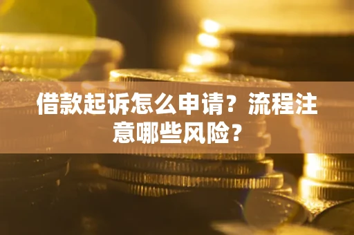 武汉借款起诉怎么申请？流程注意哪些风险？