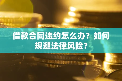 武汉借款合同违约怎么办？如何规避法律风险？